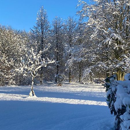Villa Skont Hus Pa Landet Taet Pa Billund Give Esterno foto