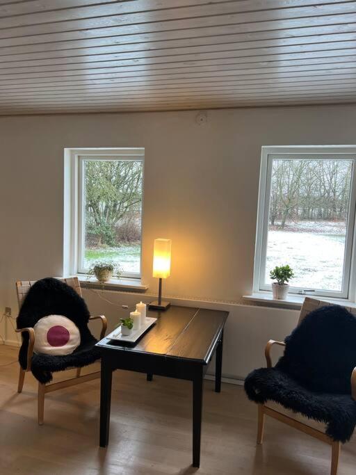 Villa Skont Hus Pa Landet Taet Pa Billund Give Esterno foto