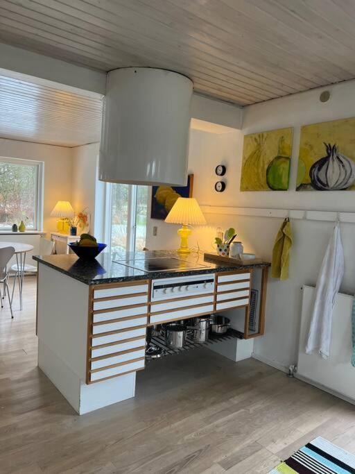 Villa Skont Hus Pa Landet Taet Pa Billund Give Esterno foto