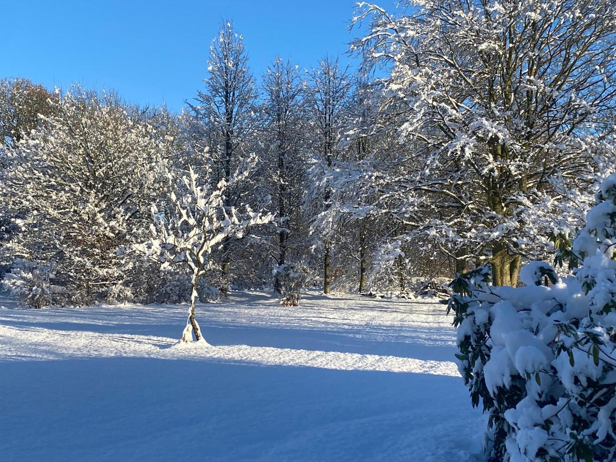 Villa Skont Hus Pa Landet Taet Pa Billund Give Esterno foto